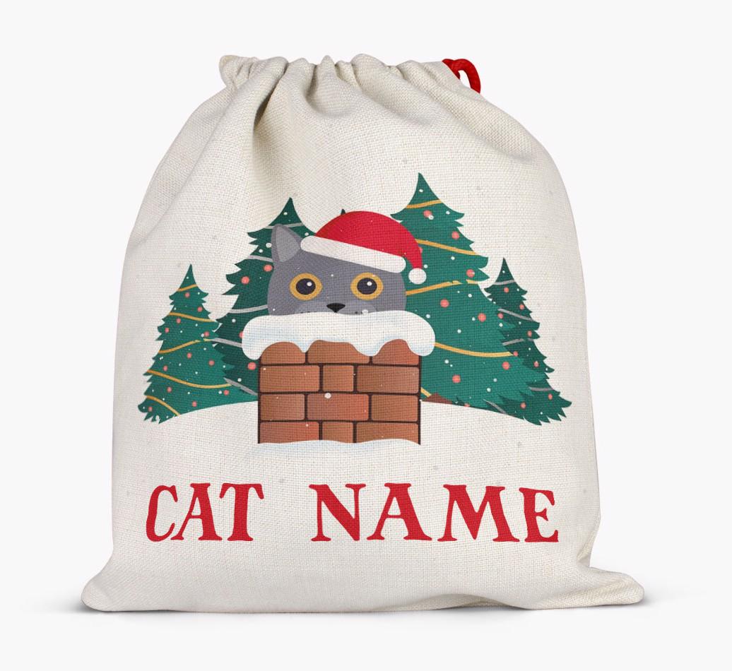 Peeking Cat with Santa Hat: Personalised {breedCommonName} Santa Sack