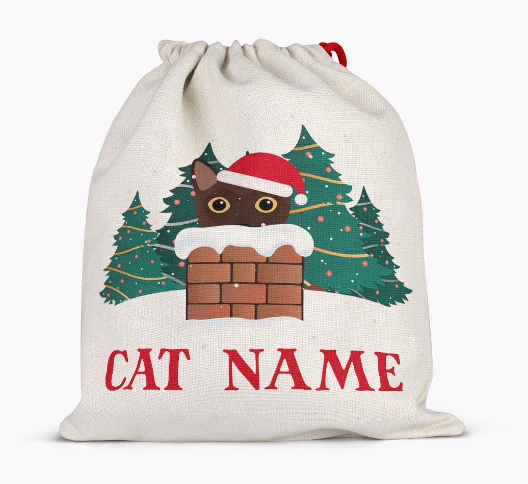 Peeking Cat with Santa Hat: Personalised {breedCommonName} Santa Sack