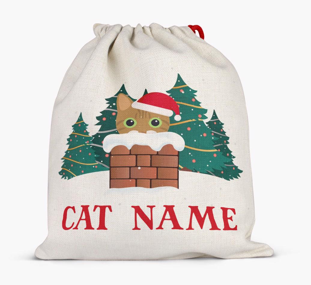 Peeking Cat with Santa Hat: Personalised {breedCommonName} Santa Sack