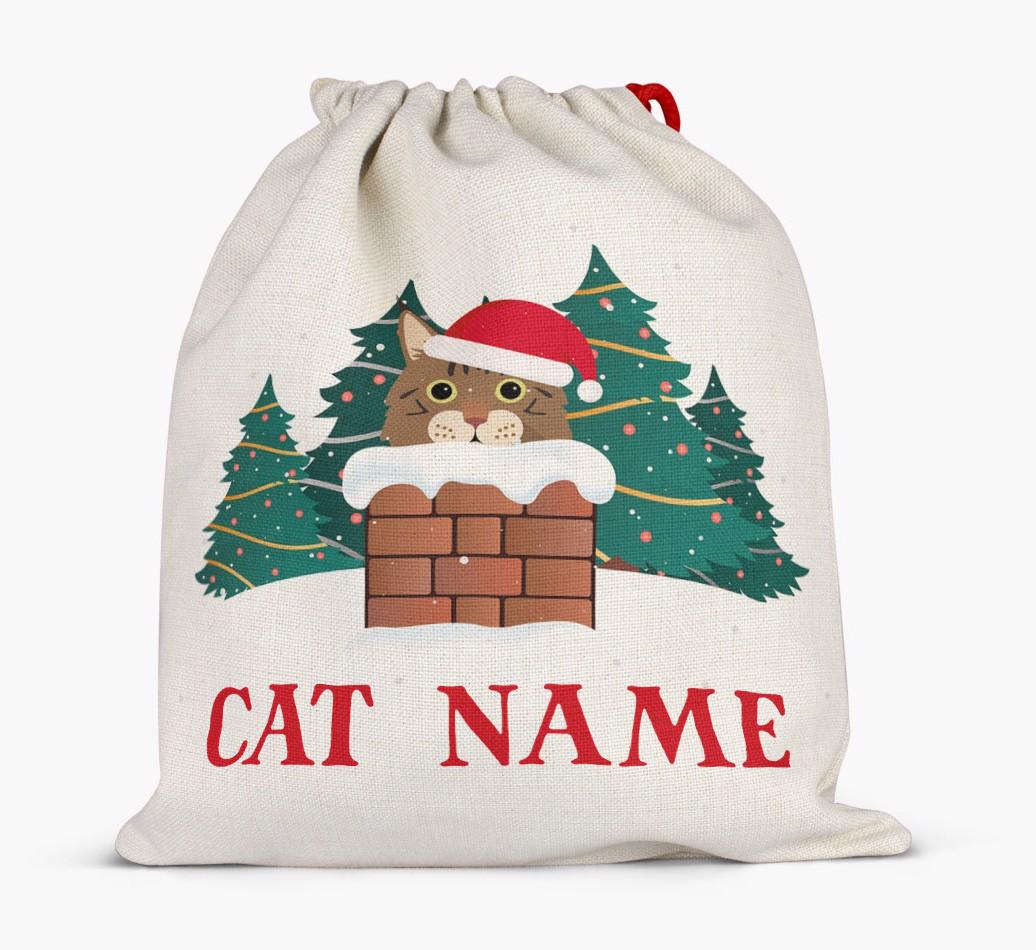 Peeking Cat with Santa Hat: Personalised {breedCommonName} Santa Sack