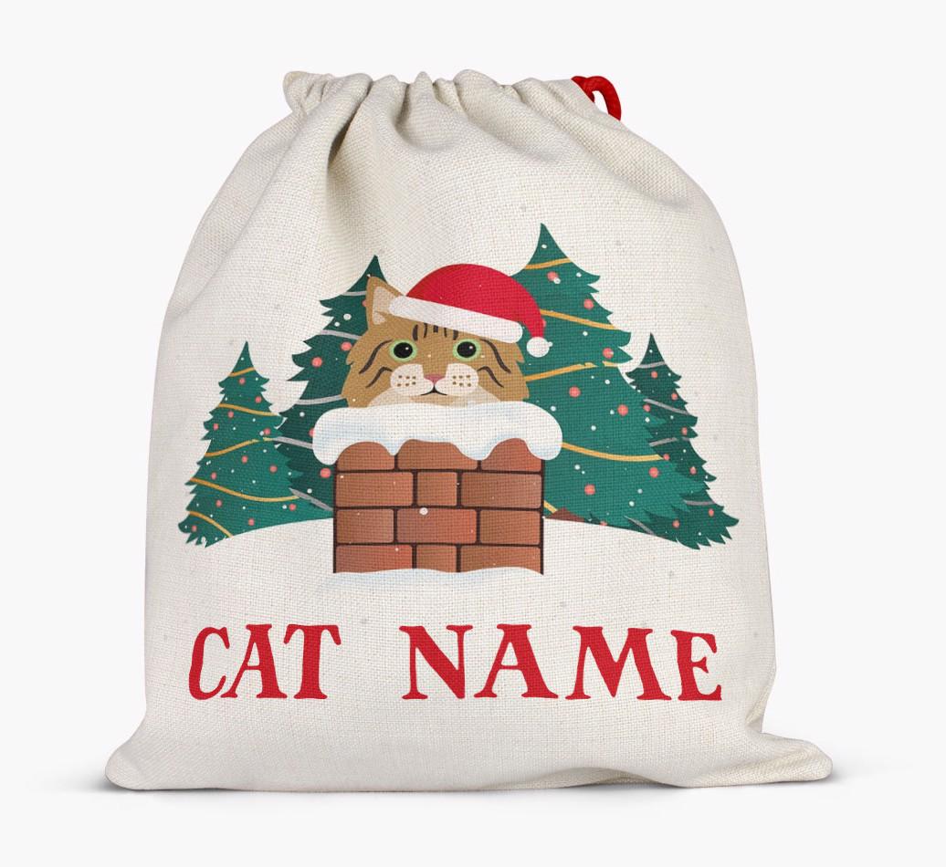 Peeking Cat with Santa Hat: Personalised {breedCommonName} Santa Sack