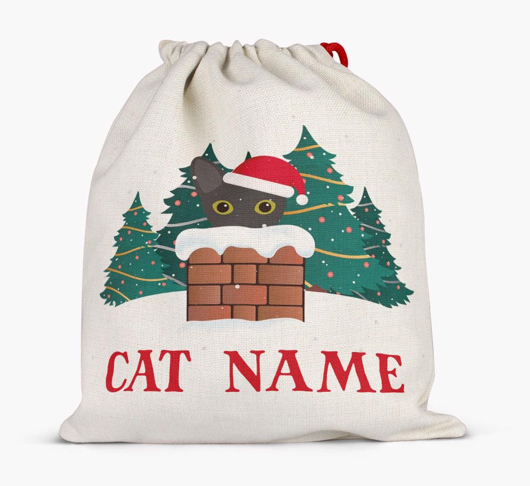 Peeking Cat with Santa Hat: Personalised {breedCommonName} Santa Sack