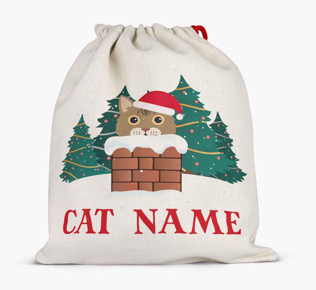 Peeking Cat with Santa Hat: Personalised {breedCommonName} Santa Sack