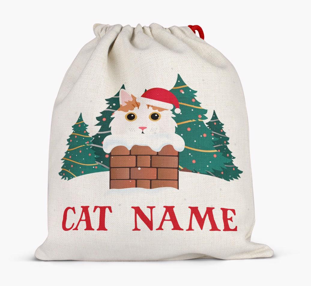 Peeking Cat with Santa Hat: Personalised {breedCommonName} Santa Sack