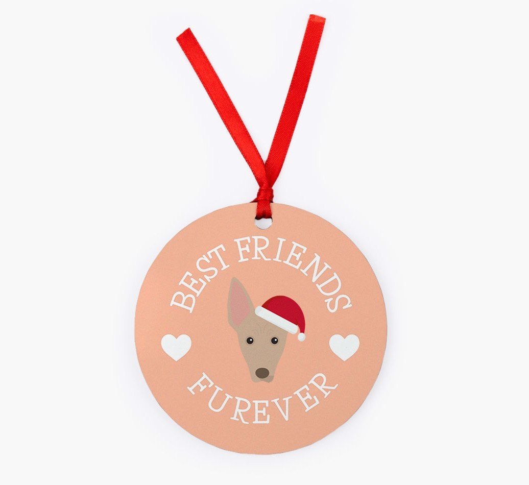 'Best Friends Furever' - Personalized {breedFullName} Christmas Decoration