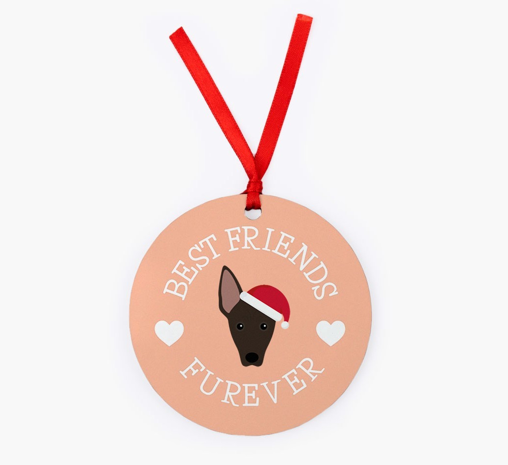 'Best Friends Furever' - {breedFullName} Christmas Decoration