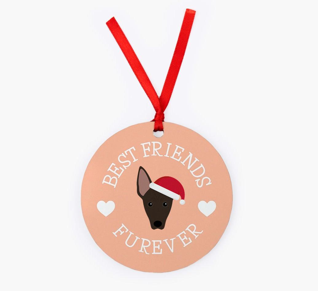 'Best Friends Furever' - Personalized {breedFullName} Christmas Decoration
