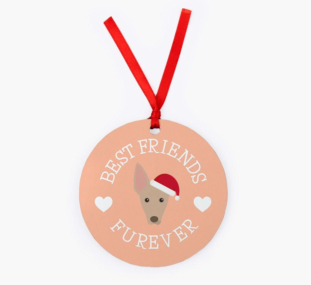 'Best Friends Furever' - Personalized {breedFullName} Christmas Decoration