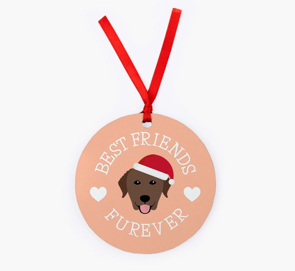 'Best Friends Furever' - Personalized {breedFullName} Christmas Decoration