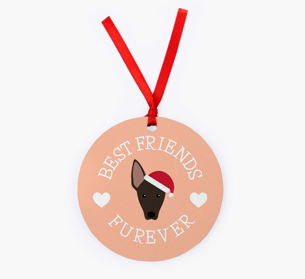 'Best Friends Furever' - Personalized {breedFullName} Christmas Decoration