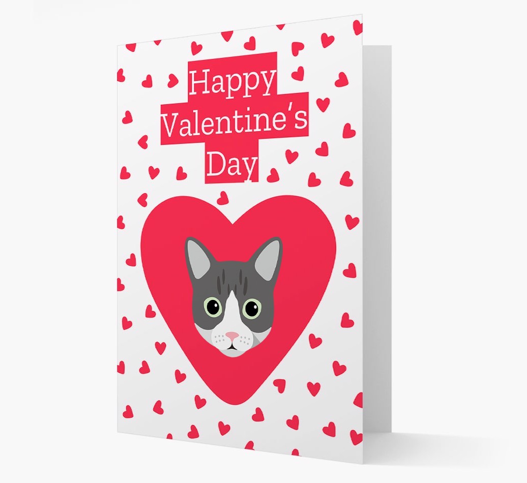 Valentine's Day Cat Gifts