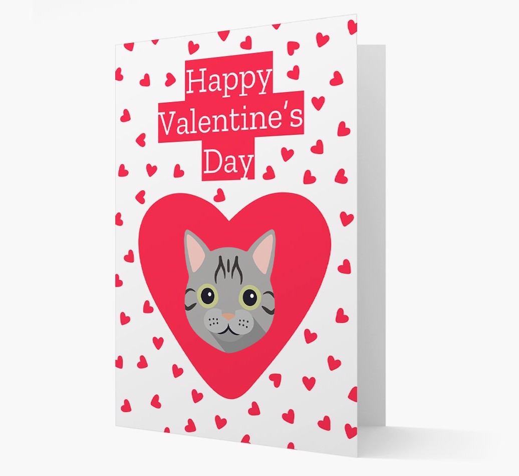 Valentine's Day Cat Gifts