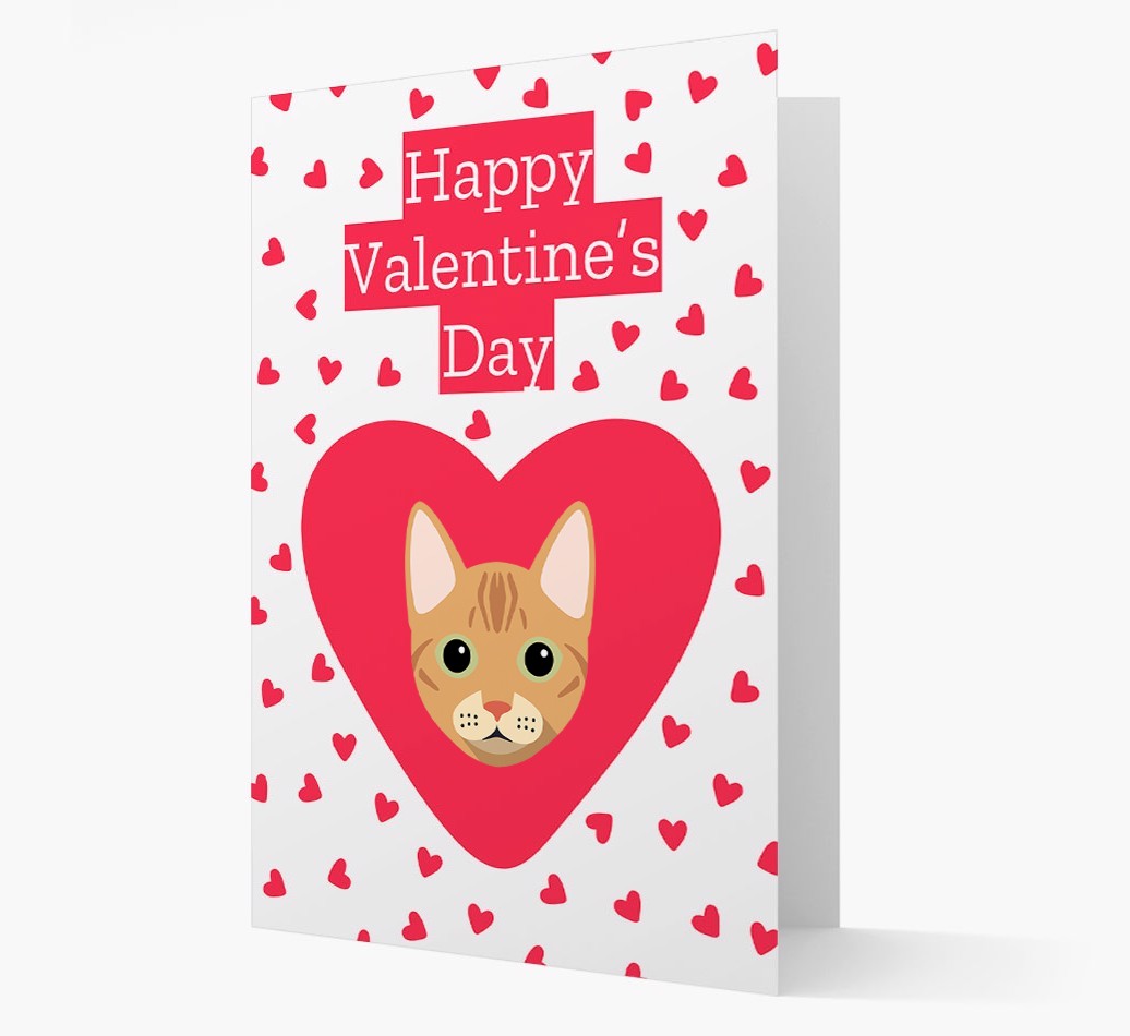 Valentine's Day Cat Gifts