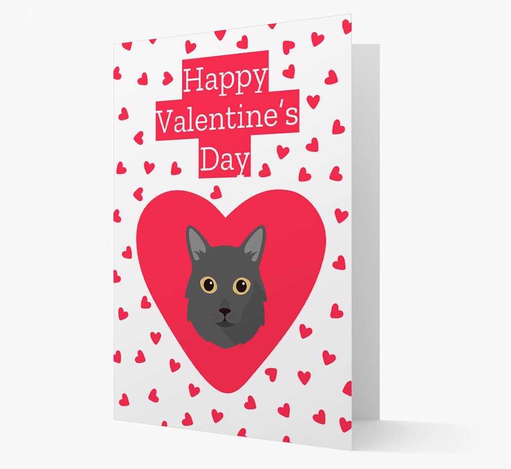 Valentine's Day Cat Gifts
