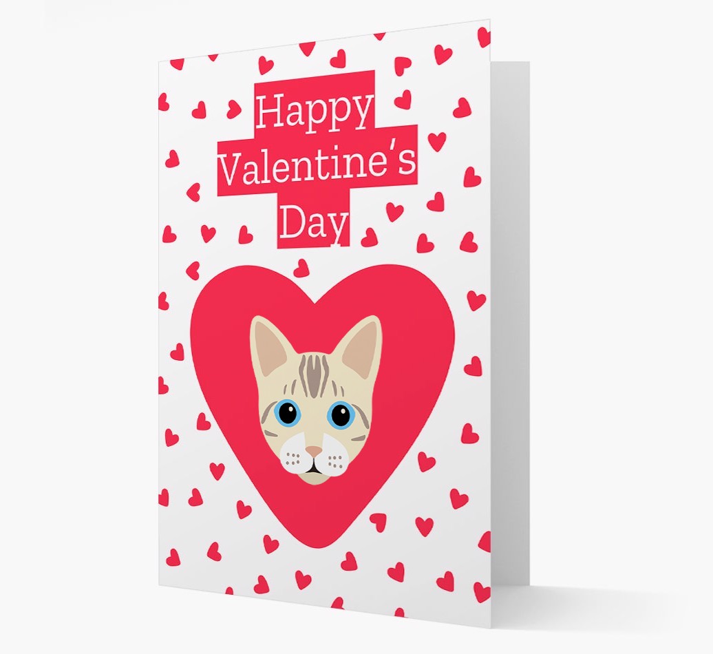 Valentine's Day Cat Gifts