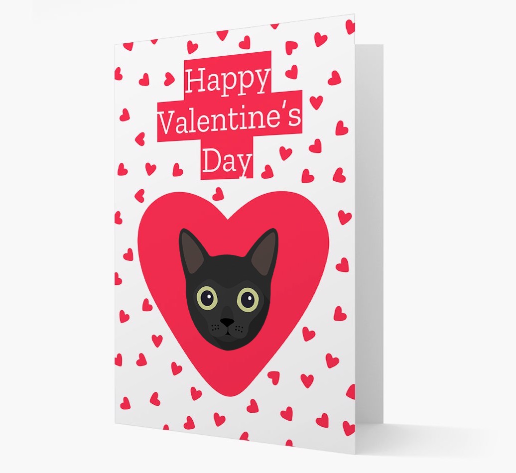Valentine's Day Cat Gifts