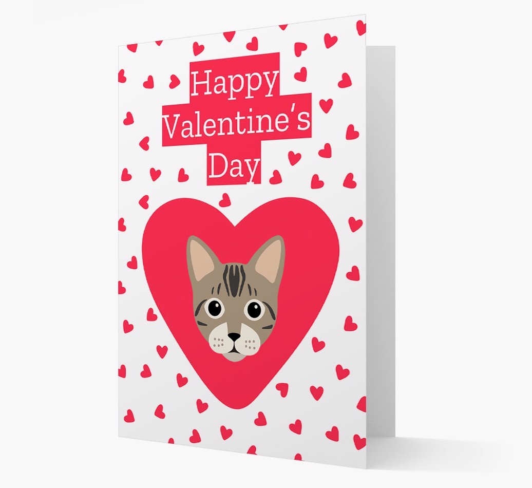 Valentine's Day Cat Gifts