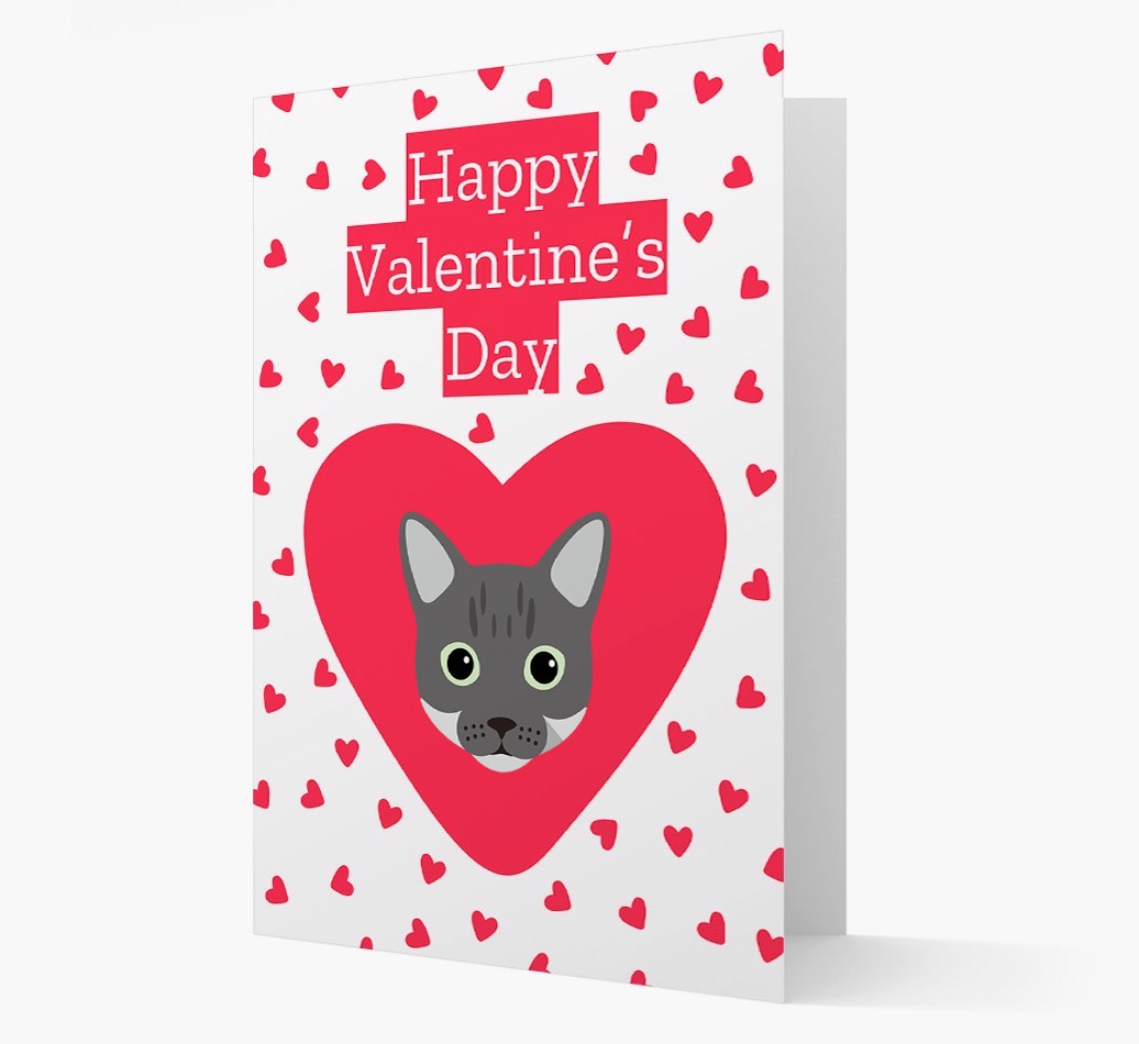 Valentine's Day Cat Gifts