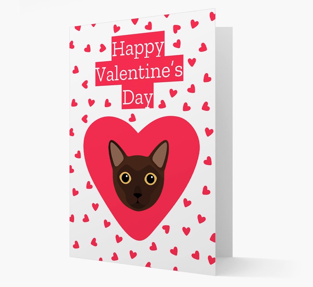 Valentine's Day Cat Gifts