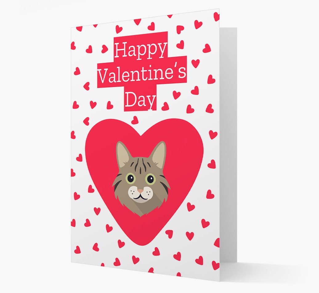 Valentine's Day Cat Gifts
