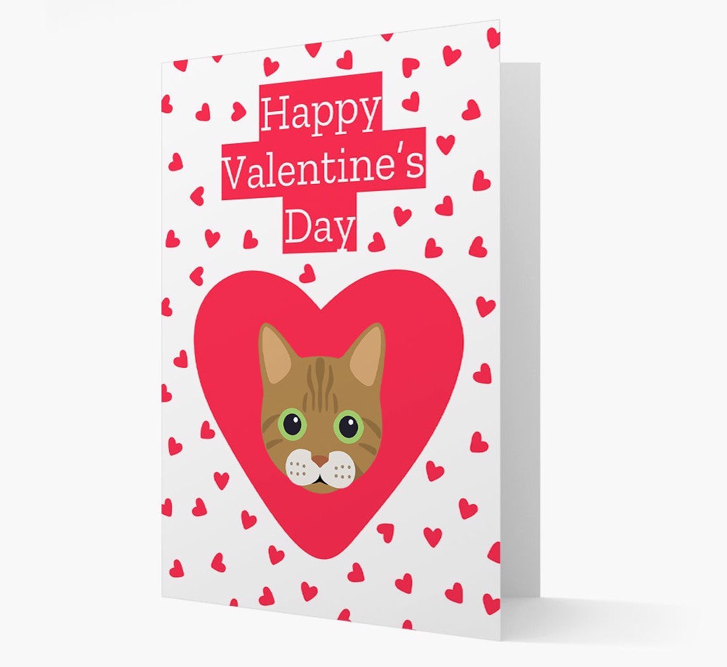 Valentine's Day Cat Gifts