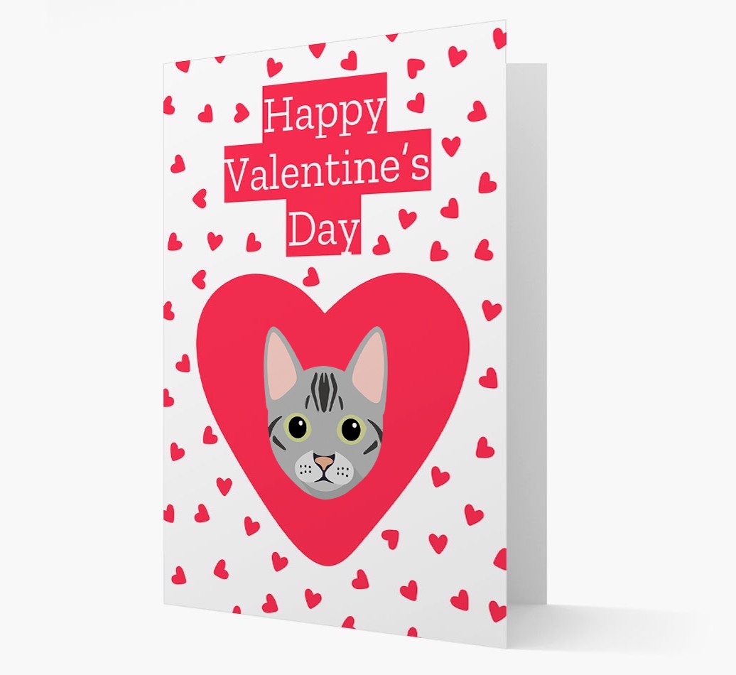 Valentine's Day Cat Gifts