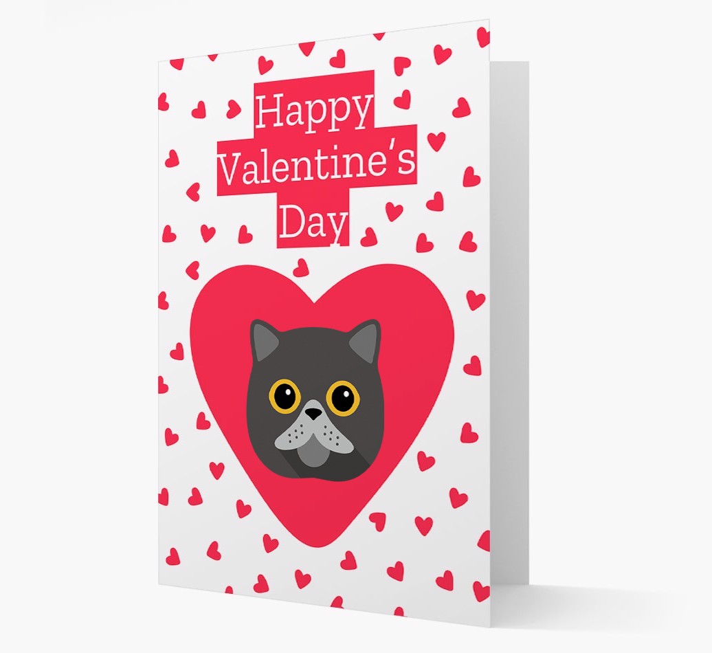 Valentine's Day Cat Gifts