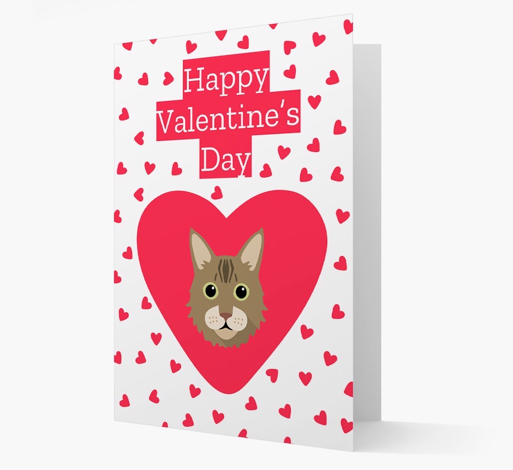 Valentine's Day Cat Gifts