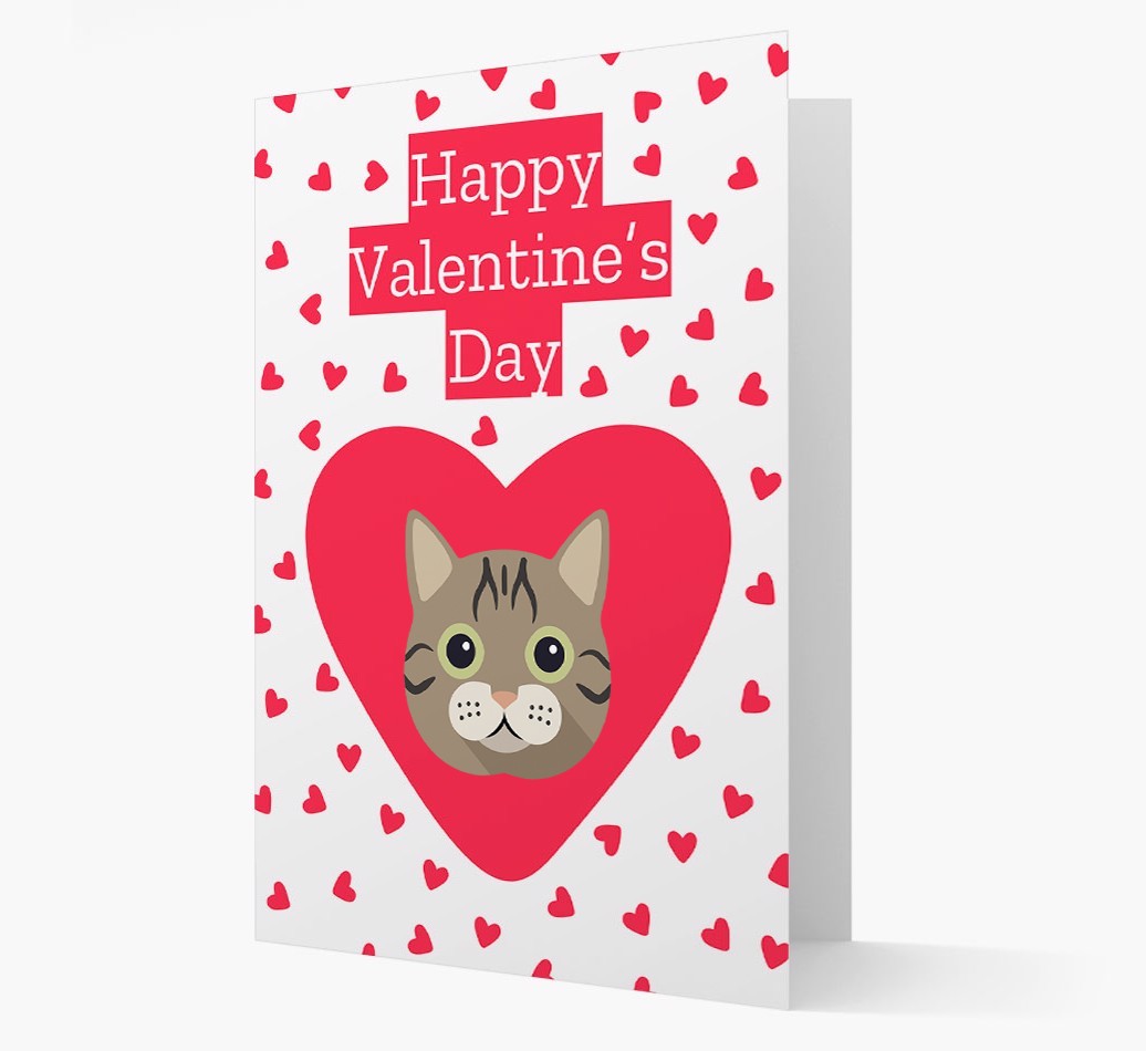 Valentine's Day Cat Gifts