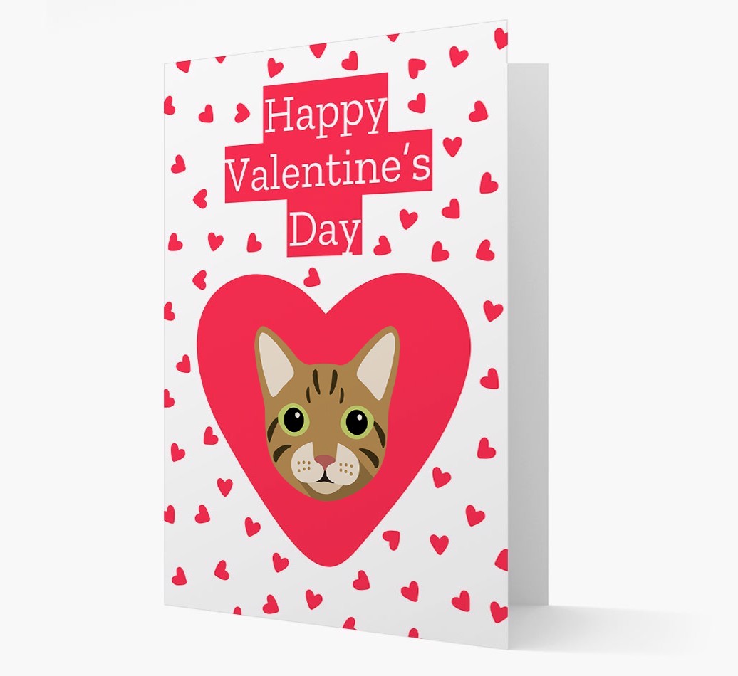 Valentine's Day Cat Gifts