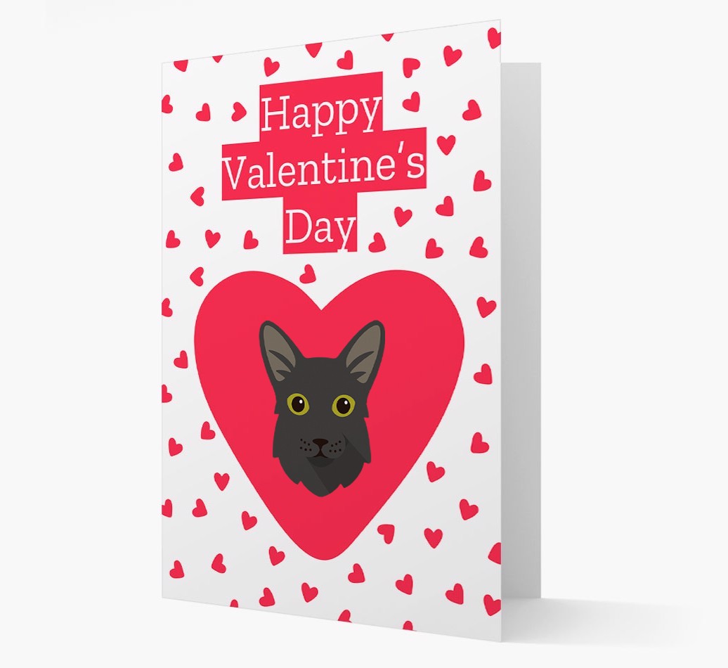 Valentine's Day Cat Gifts