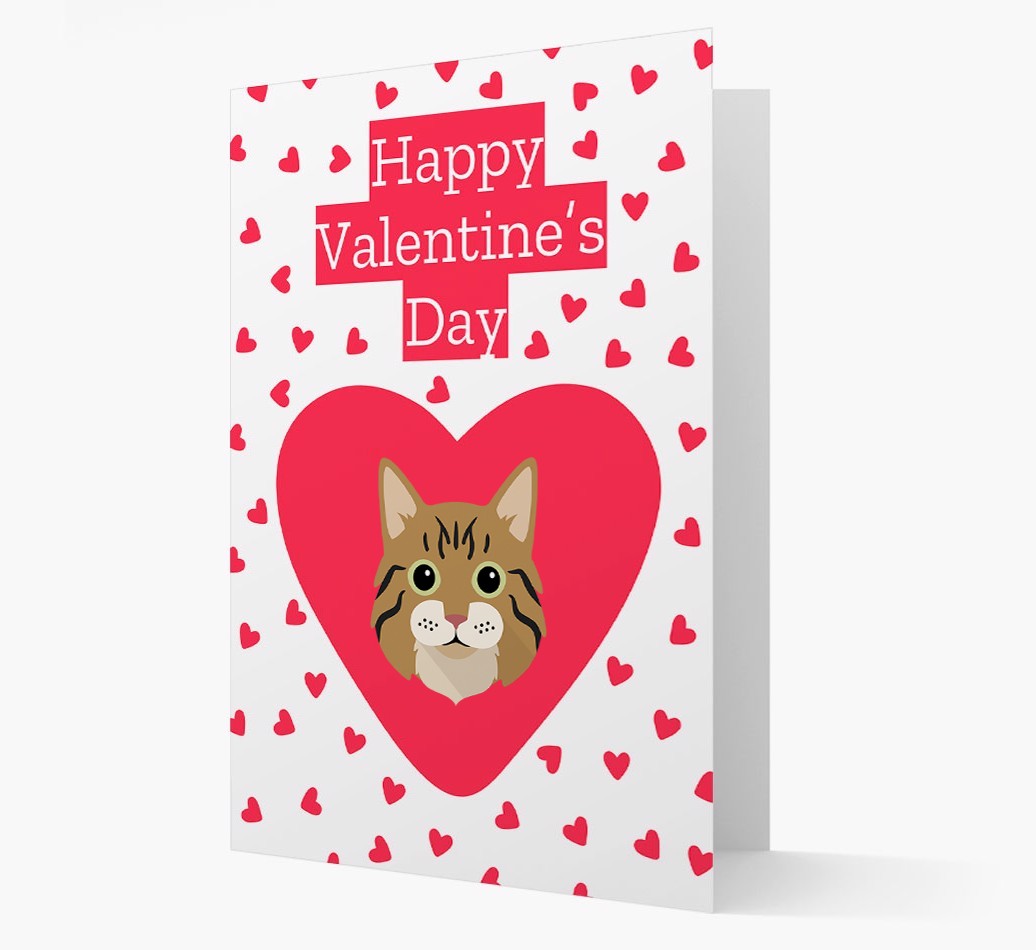 Valentine's Day Cat Gifts