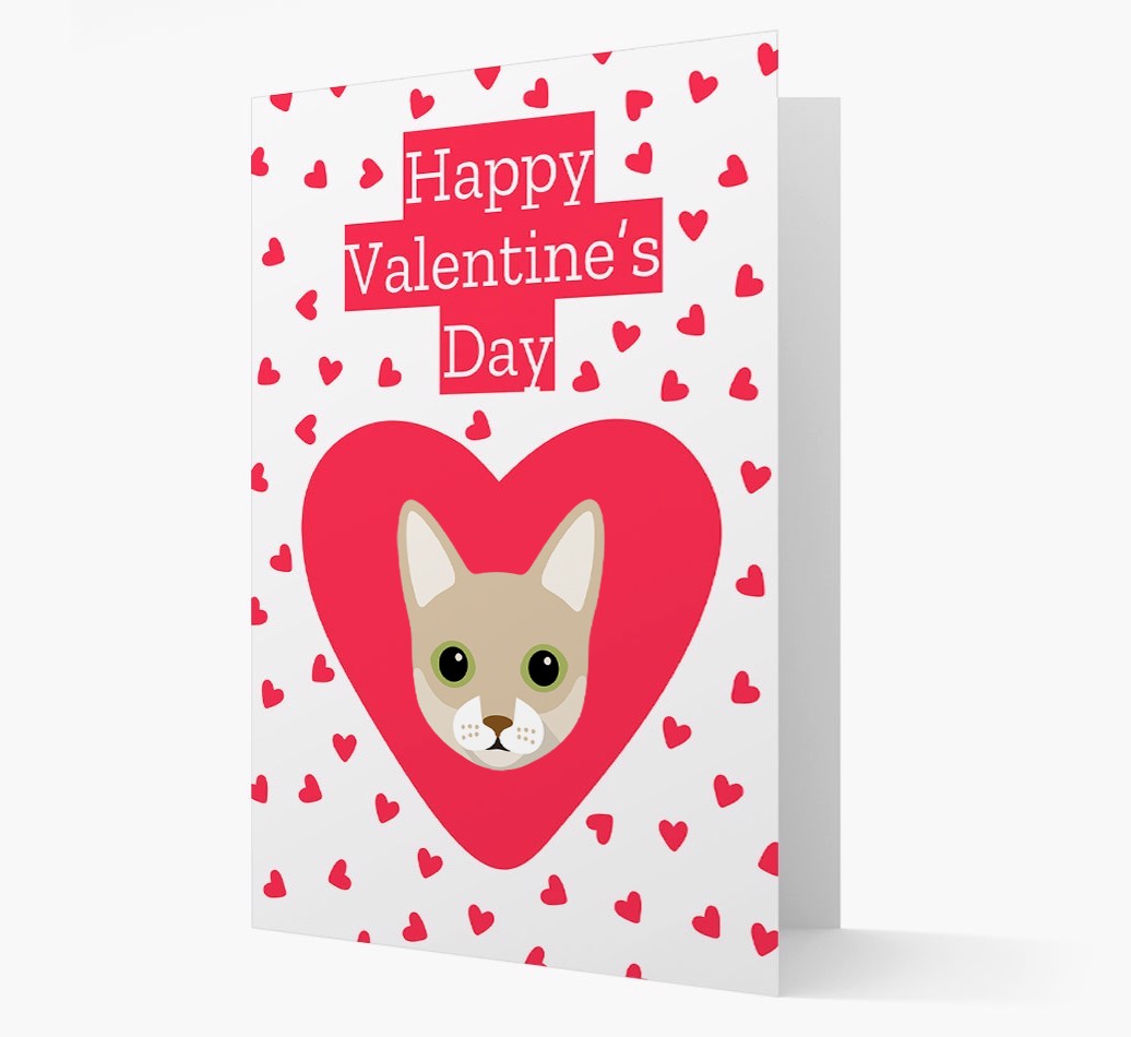 Valentine's Day Cat Gifts