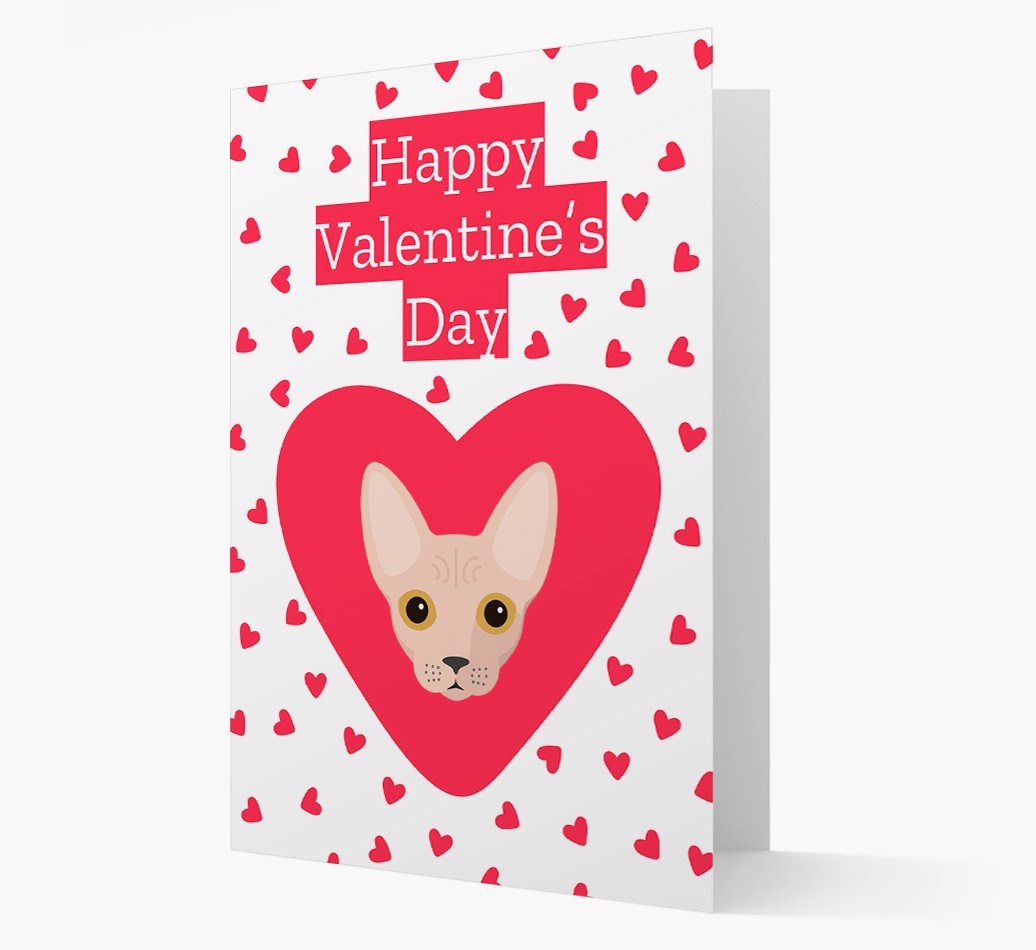 Valentine's Day Cat Gifts