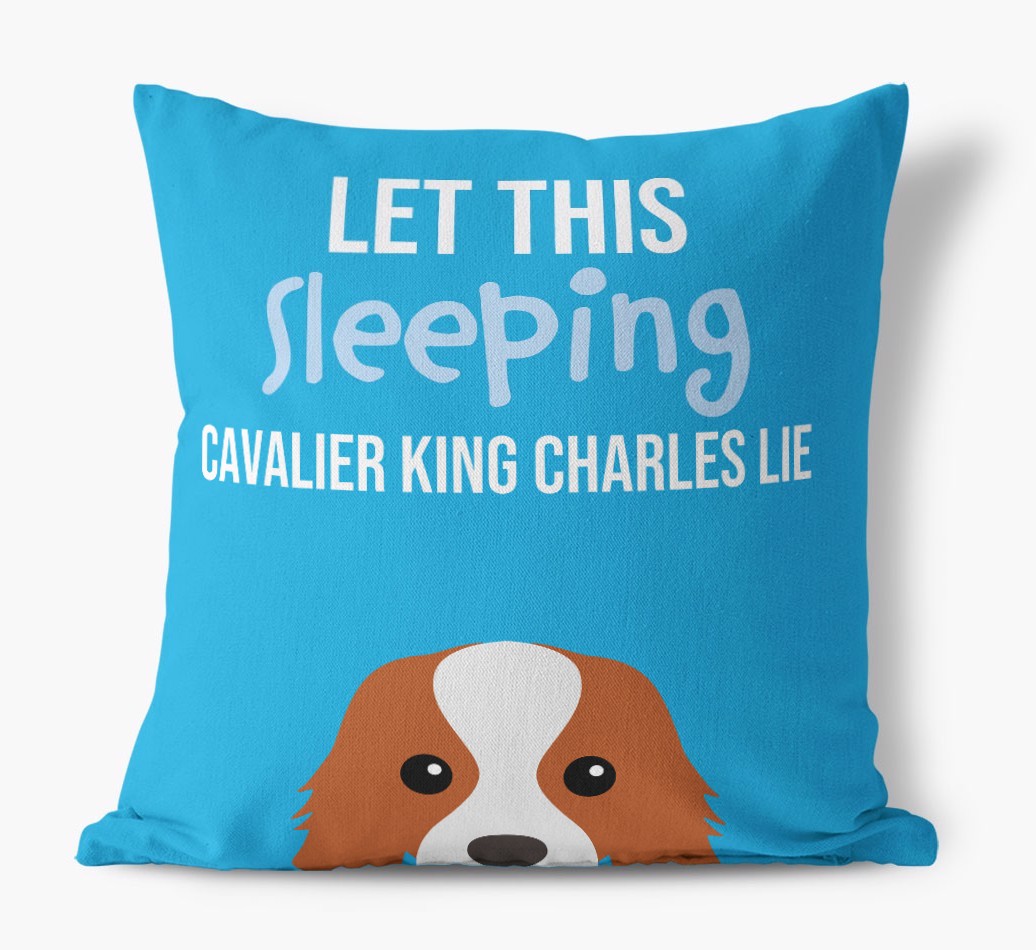 Let This Sleeping {breedShortName} Lie: Personalised Canvas Cushion