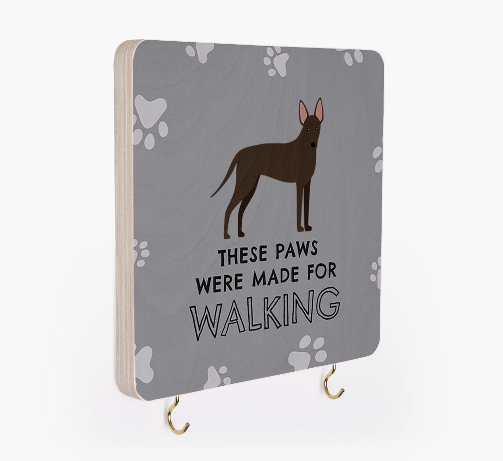 'These Paws Are Made for Walking' - Personalized {breedFullName} Lead & Collar Hanger