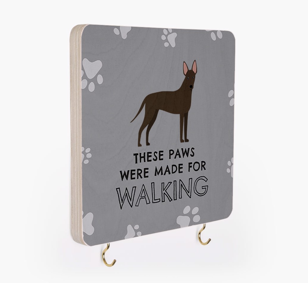 'These Paws Are Made for Walking' - Personalized {breedFullName} Lead & Collar Hanger