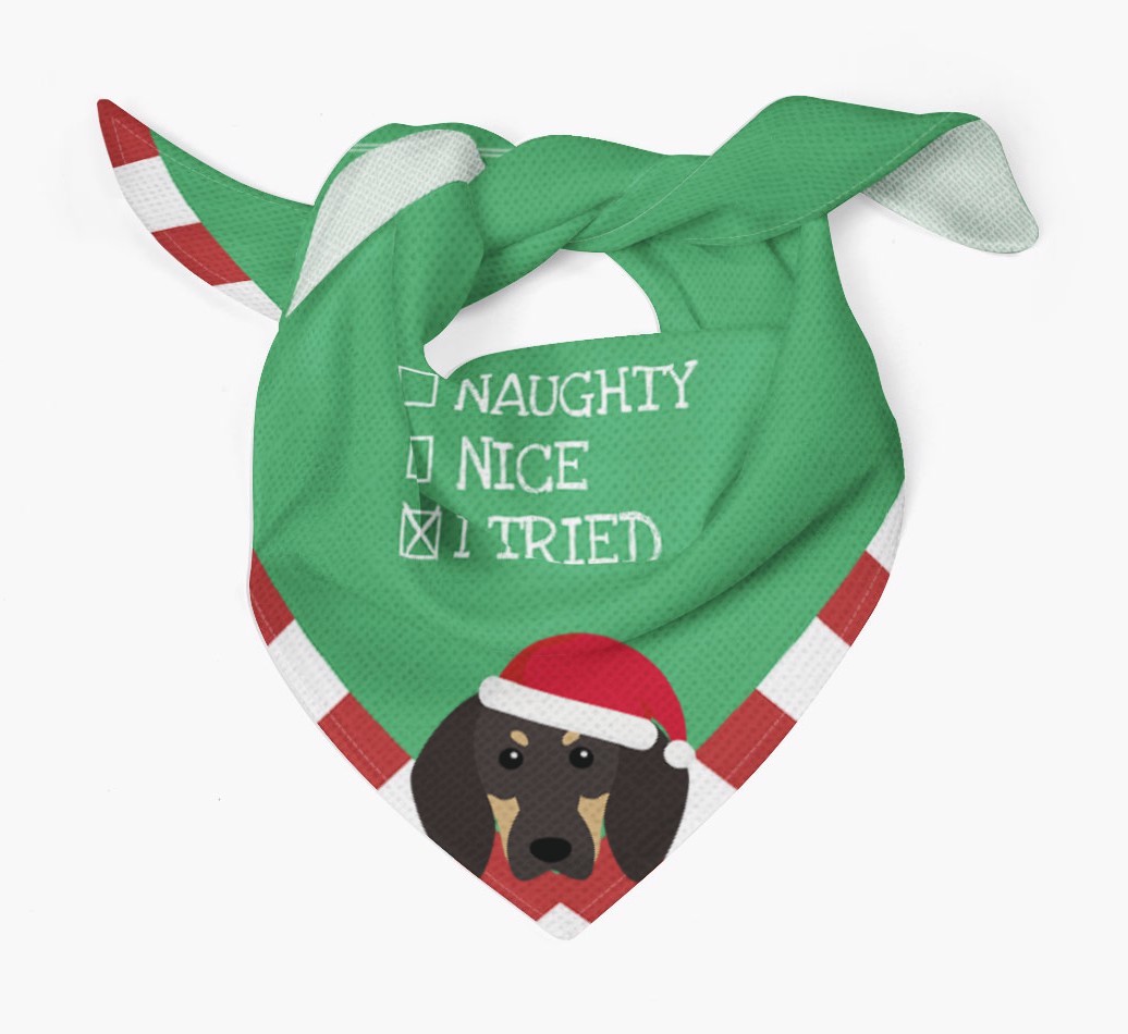 Christmas Checkbox: Personalised {breedFullName} Bandana