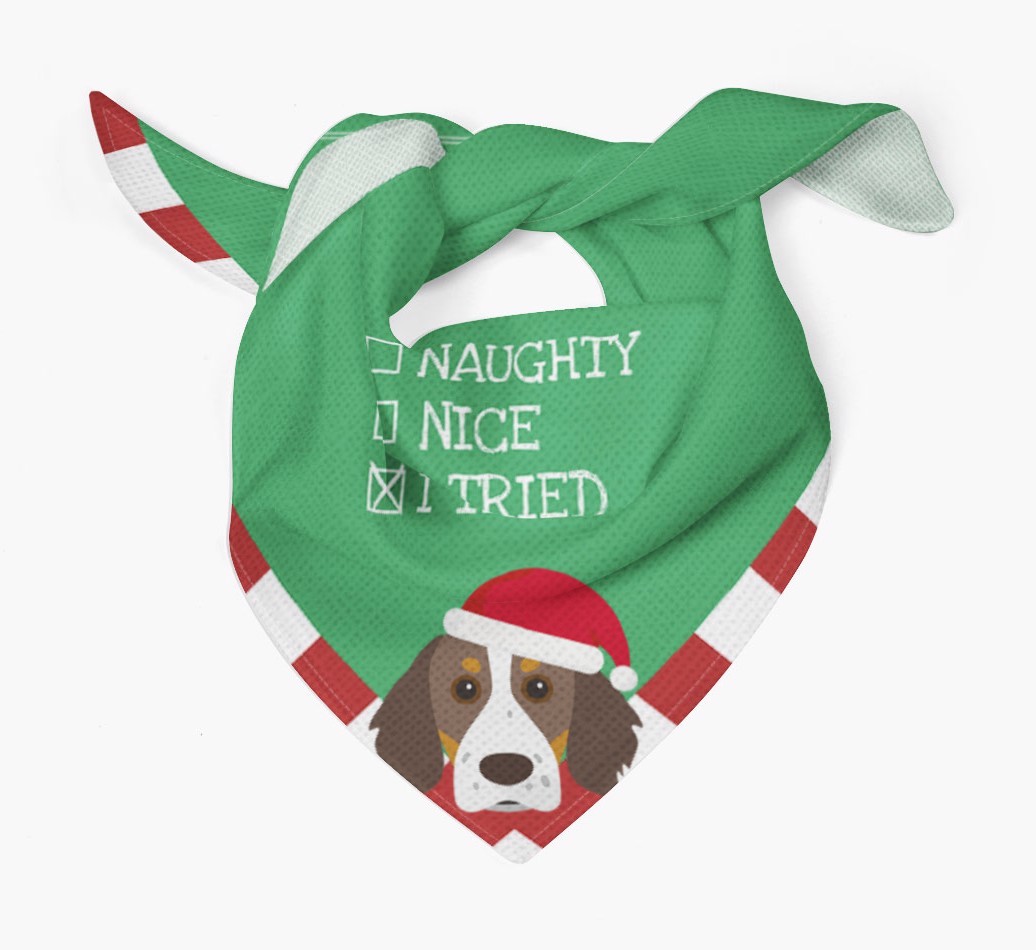 Christmas Checkbox: Personalised {breedFullName} Bandana