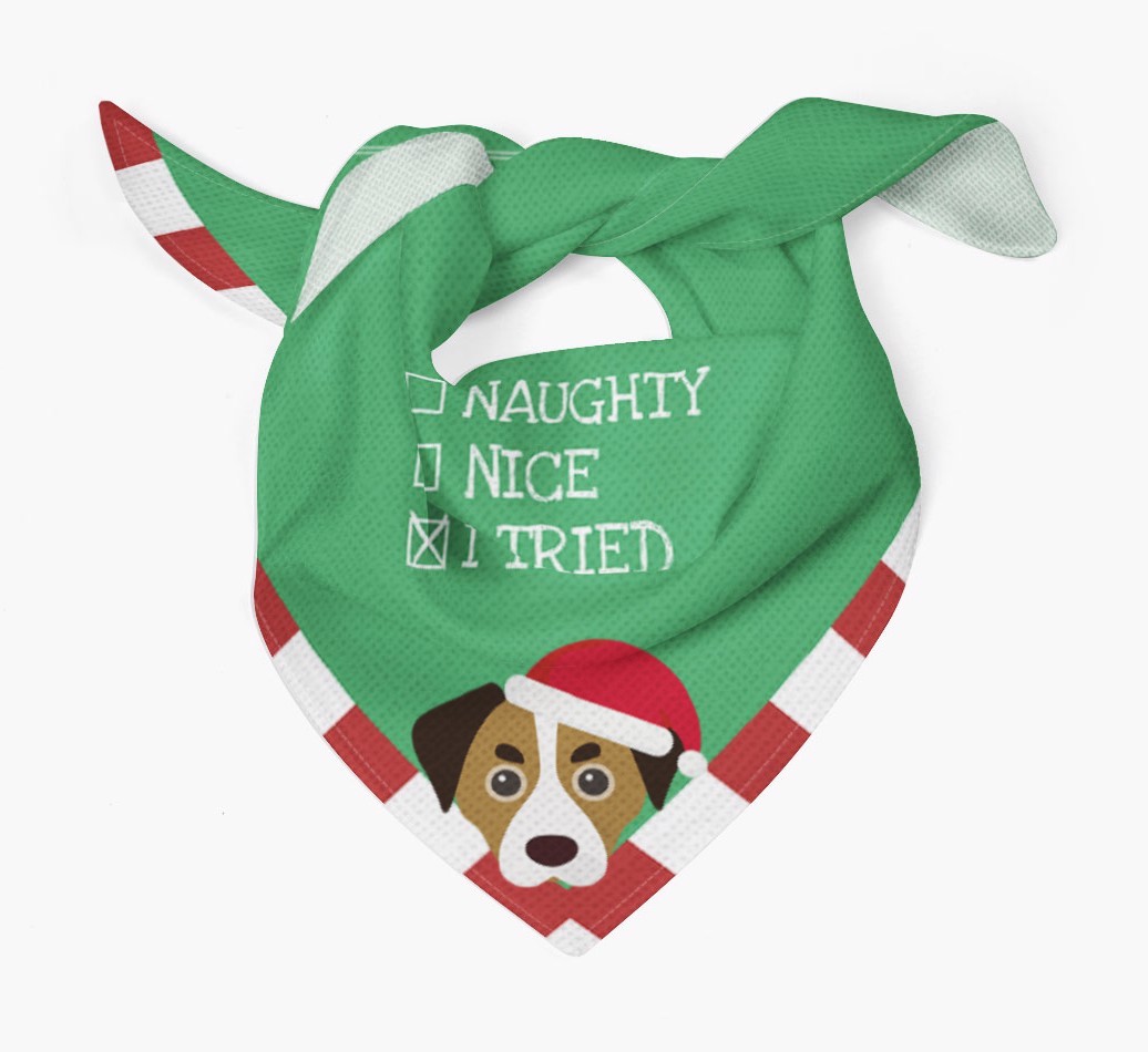 Christmas Checkbox: Personalised {breedFullName} Bandana