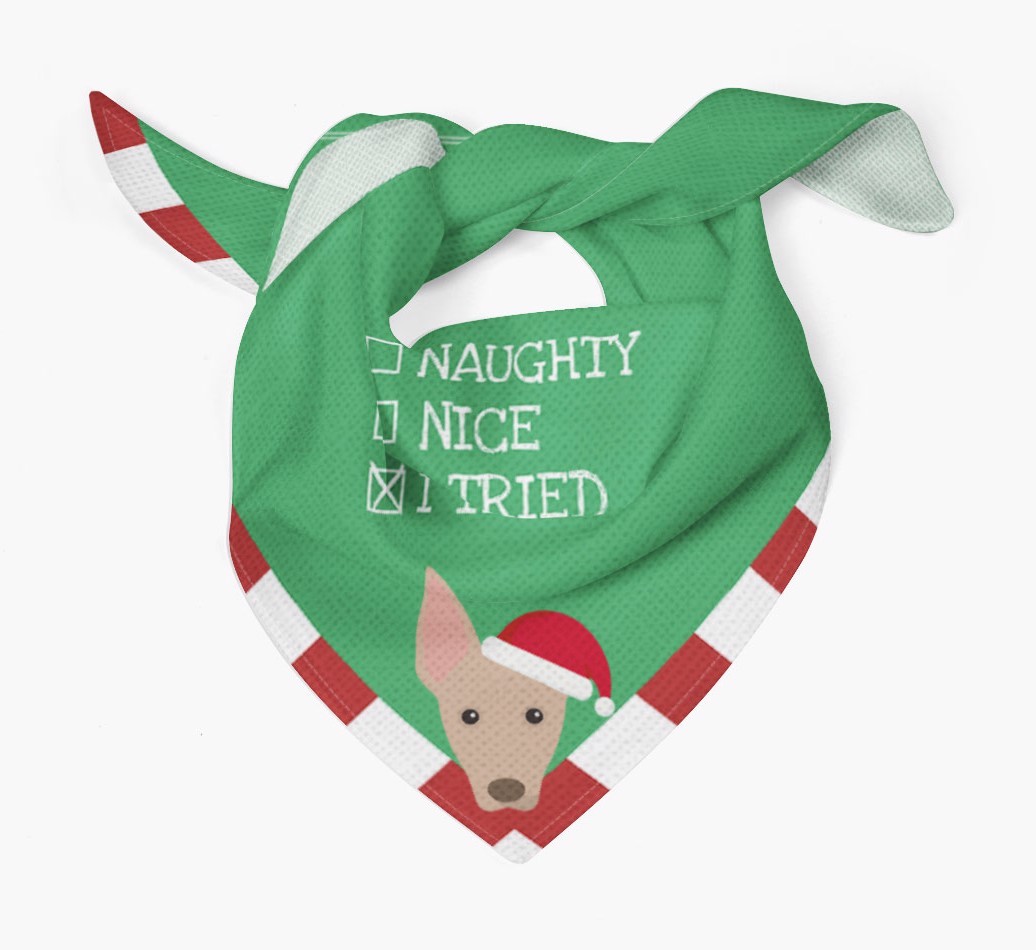 Christmas Checkbox: Personalized {breedFullName} Bandana
