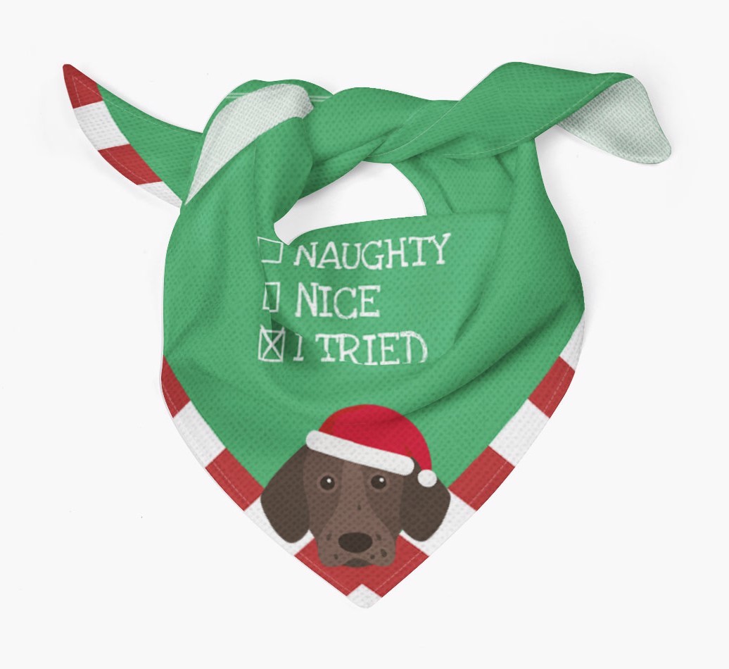 Christmas Checkbox: Personalized {breedFullName} Bandana