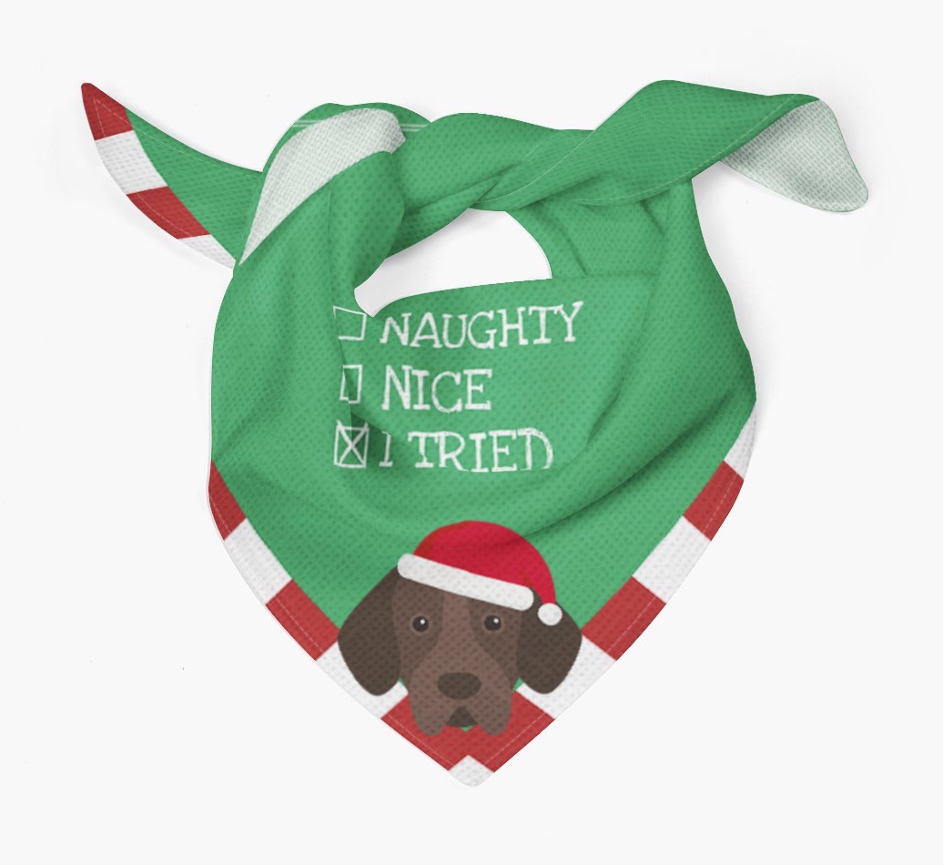 Christmas Checkbox: Personalized {breedFullName} Bandana