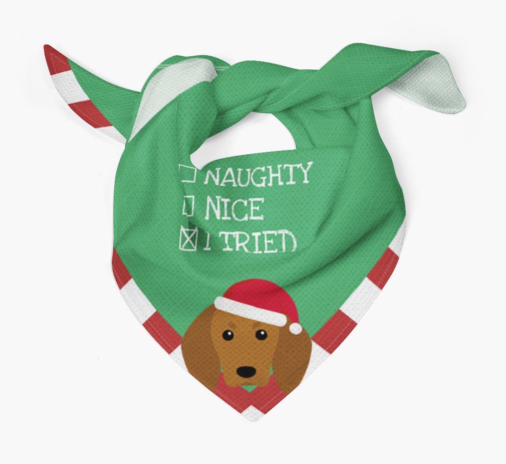 Christmas Checkbox: Personalised {breedFullName} Bandana