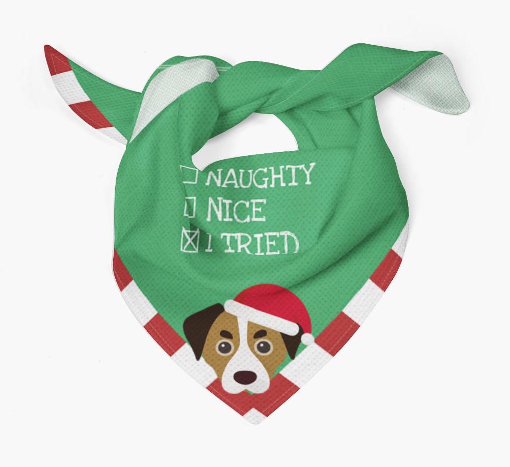 Christmas Checkbox: Personalized {breedFullName} Bandana