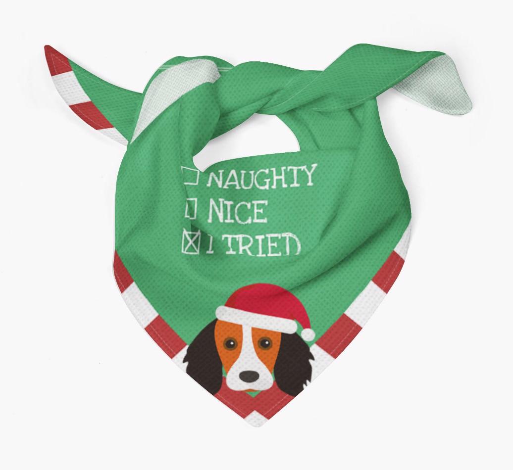 Christmas Checkbox: Personalized {breedFullName} Bandana
