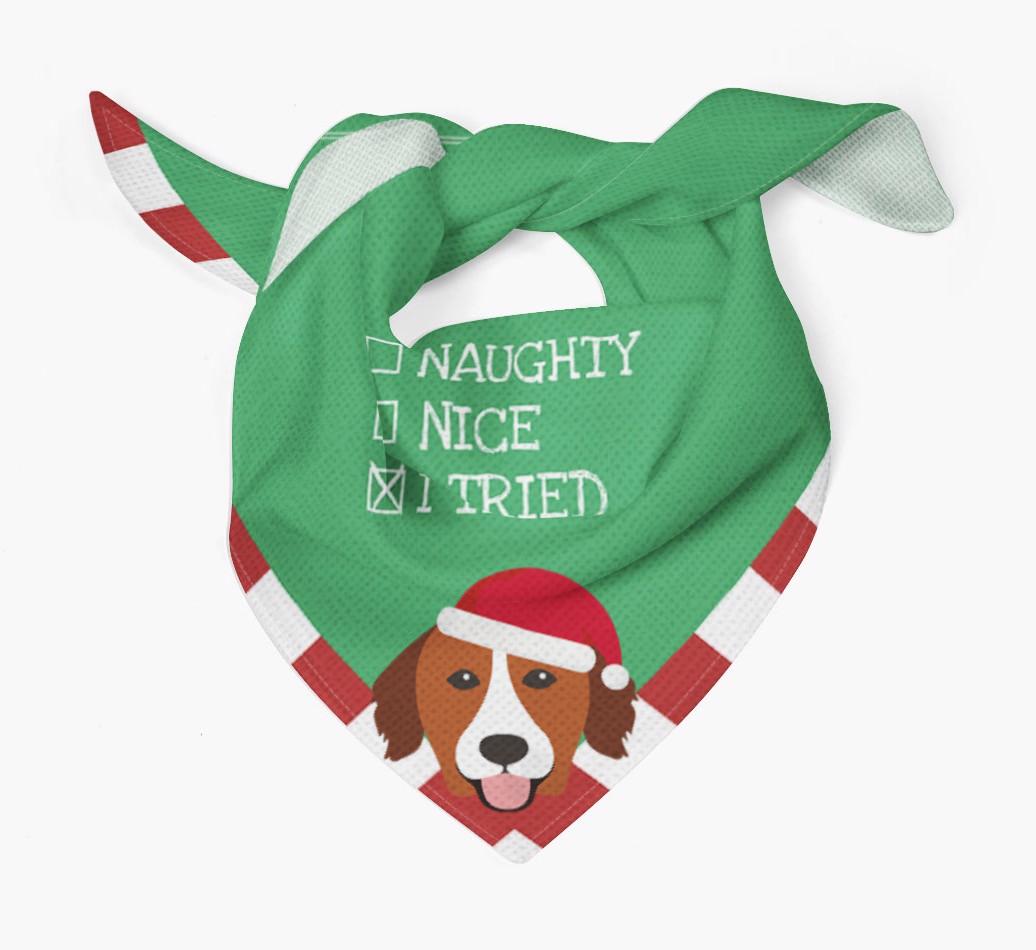 Christmas Checkbox: Personalised {breedFullName} Bandana