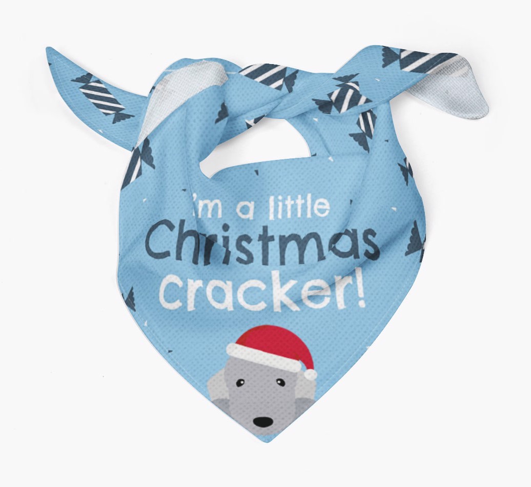 'Christmas Cracker' - Personalized {breedFullName} Bandana