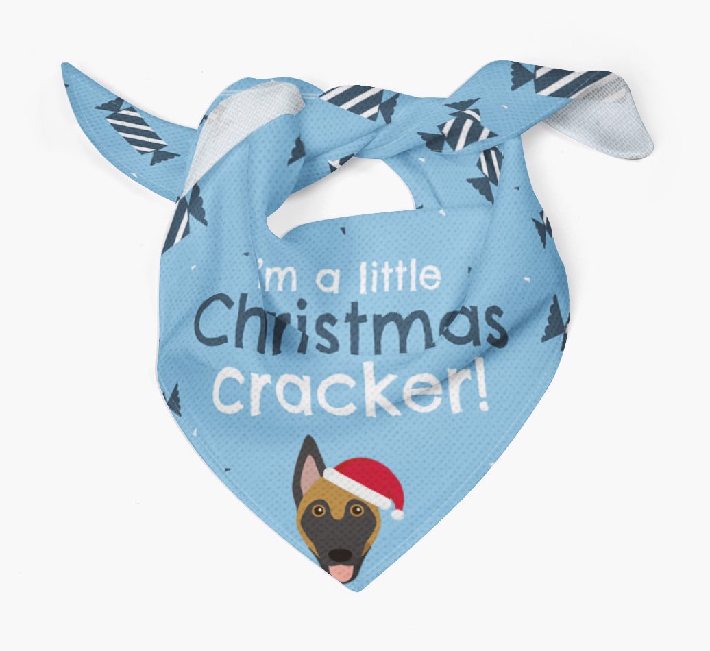 'Christmas Cracker' - Personalized {breedFullName} Bandana