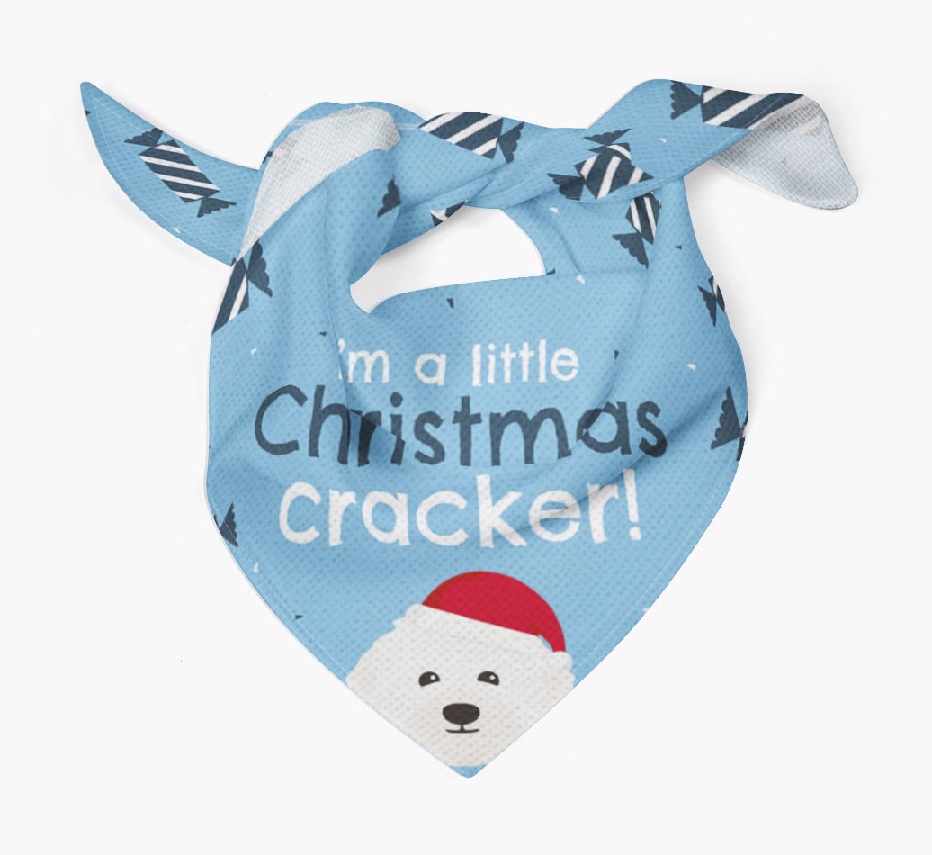 Christmas Cracker Personalised Bandana with {breedFullName} Icon